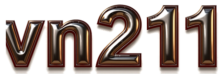 vn211 logo